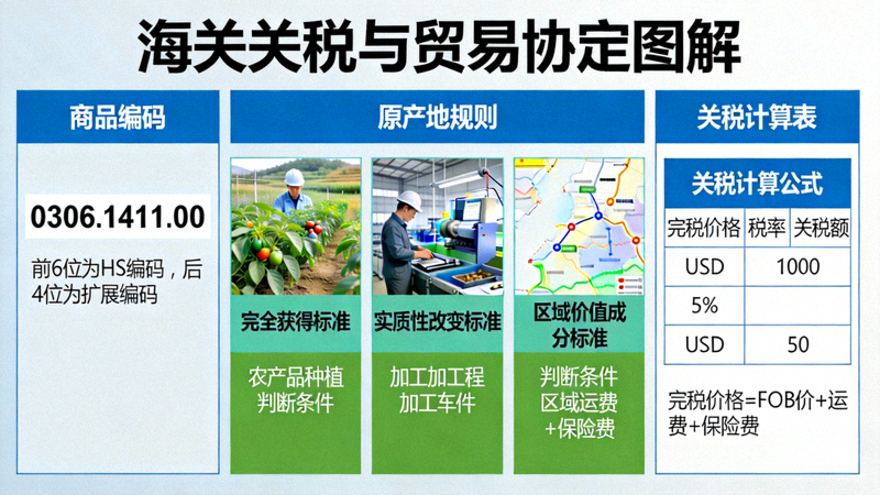 海关关税与贸易协定图解 - 展示商品编码、原产地规则与关税计算表